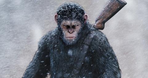 war-for-the-planet-of-the-apes-1100.jpg