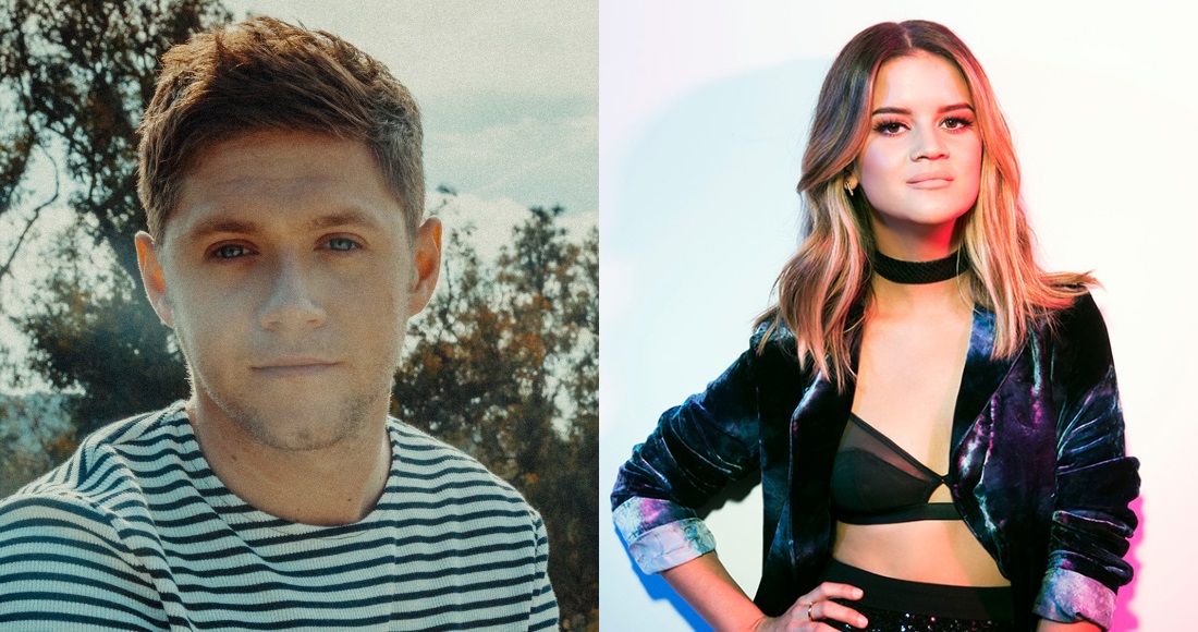 Niall Horan has confirmed a new song featuring rising country star Maren Morris