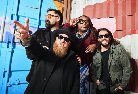 Skindred