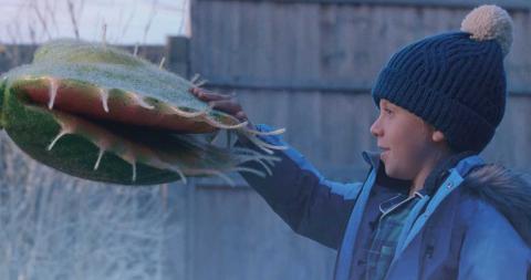 A giant venus flytrap being patted by a little boy in a beanie hat