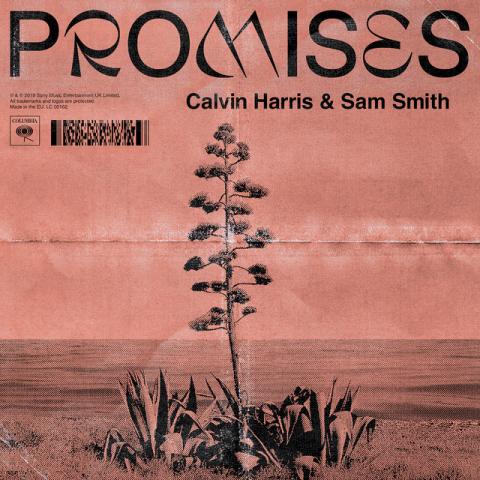 15-calvin-harris-and-sam-smith-promises.jpg