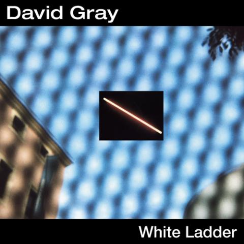 david-gray-white-ladder.jpg