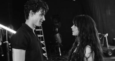 shawn-mendes-and-camila-cabello-twitter-1100.jpg